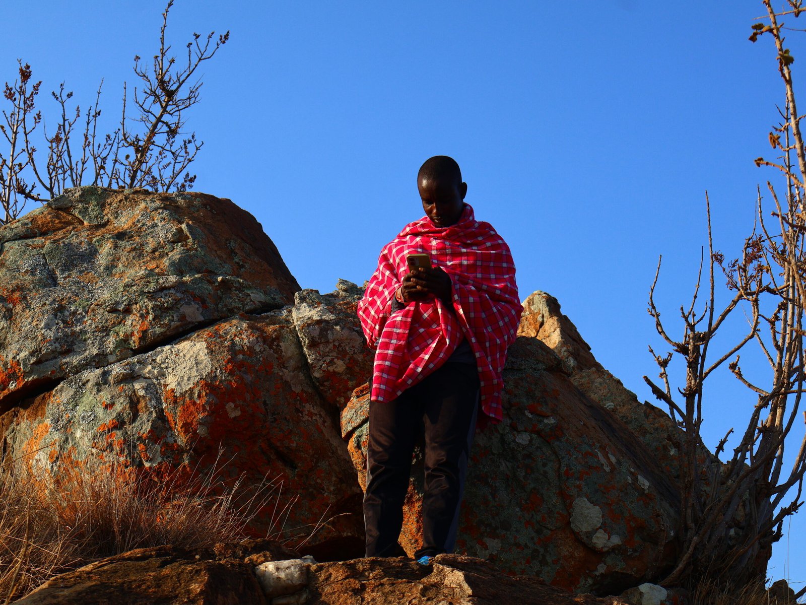 The Mukogodo Ecosystem