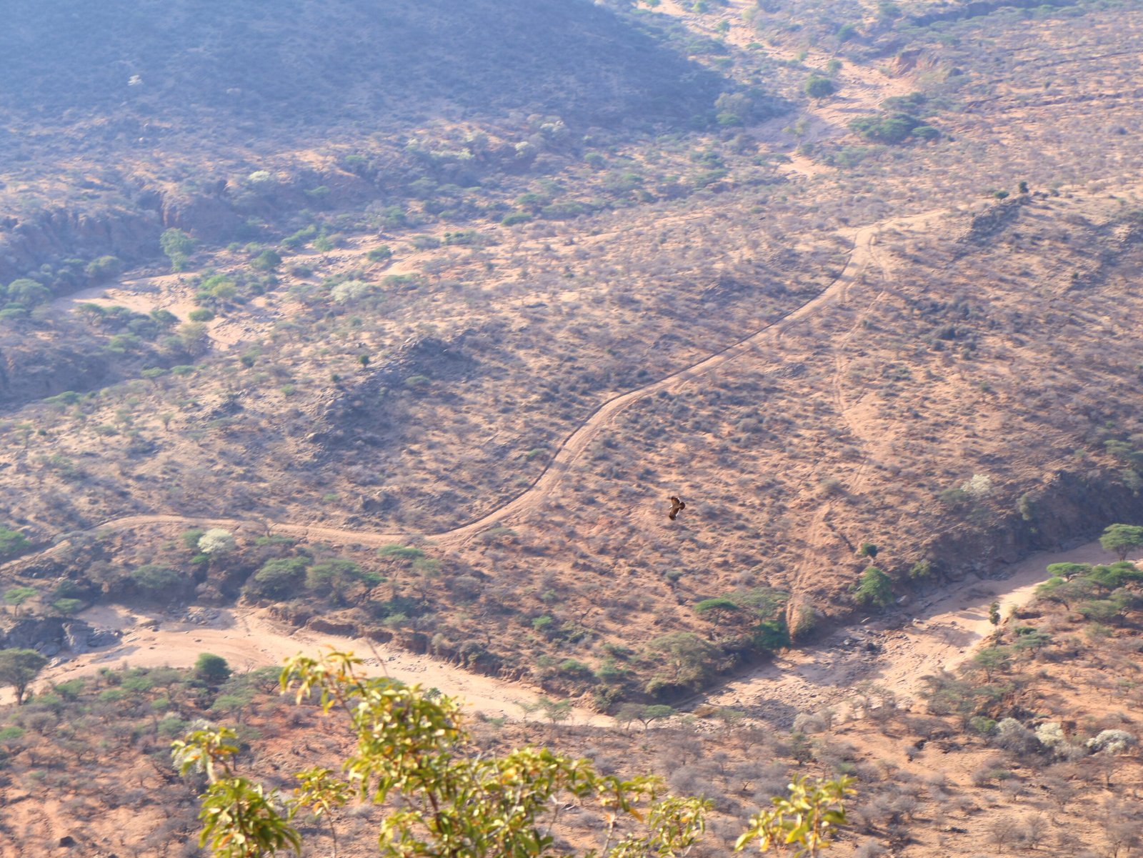 The Mukogodo Ecosystem