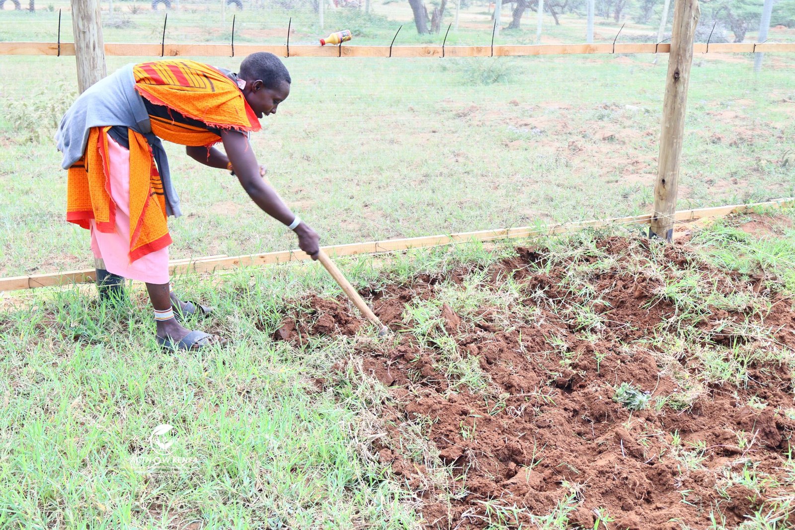 Nkishon Agroecology Hub_Land preparation