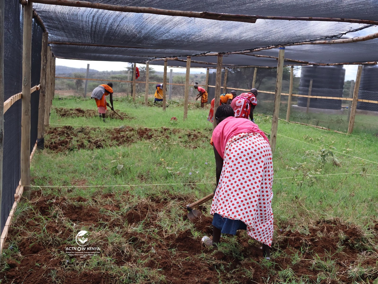 Nkishon Agroecology Hub_Land preparation