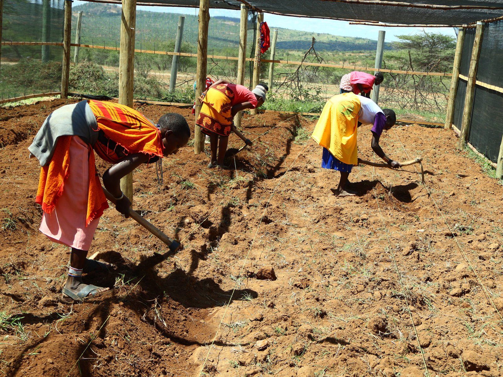 NKISHON AGROECOLOGY HUB_Women in Agriculture