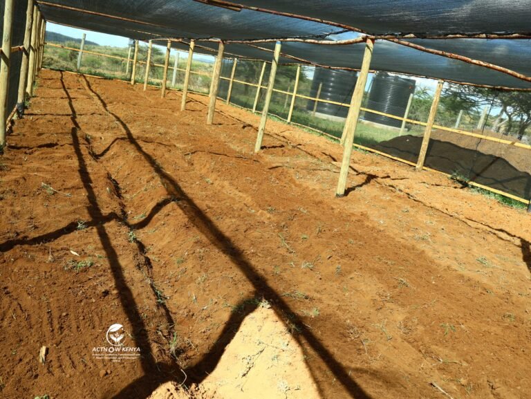 Nkishon Agroecology Hub_Land preparation