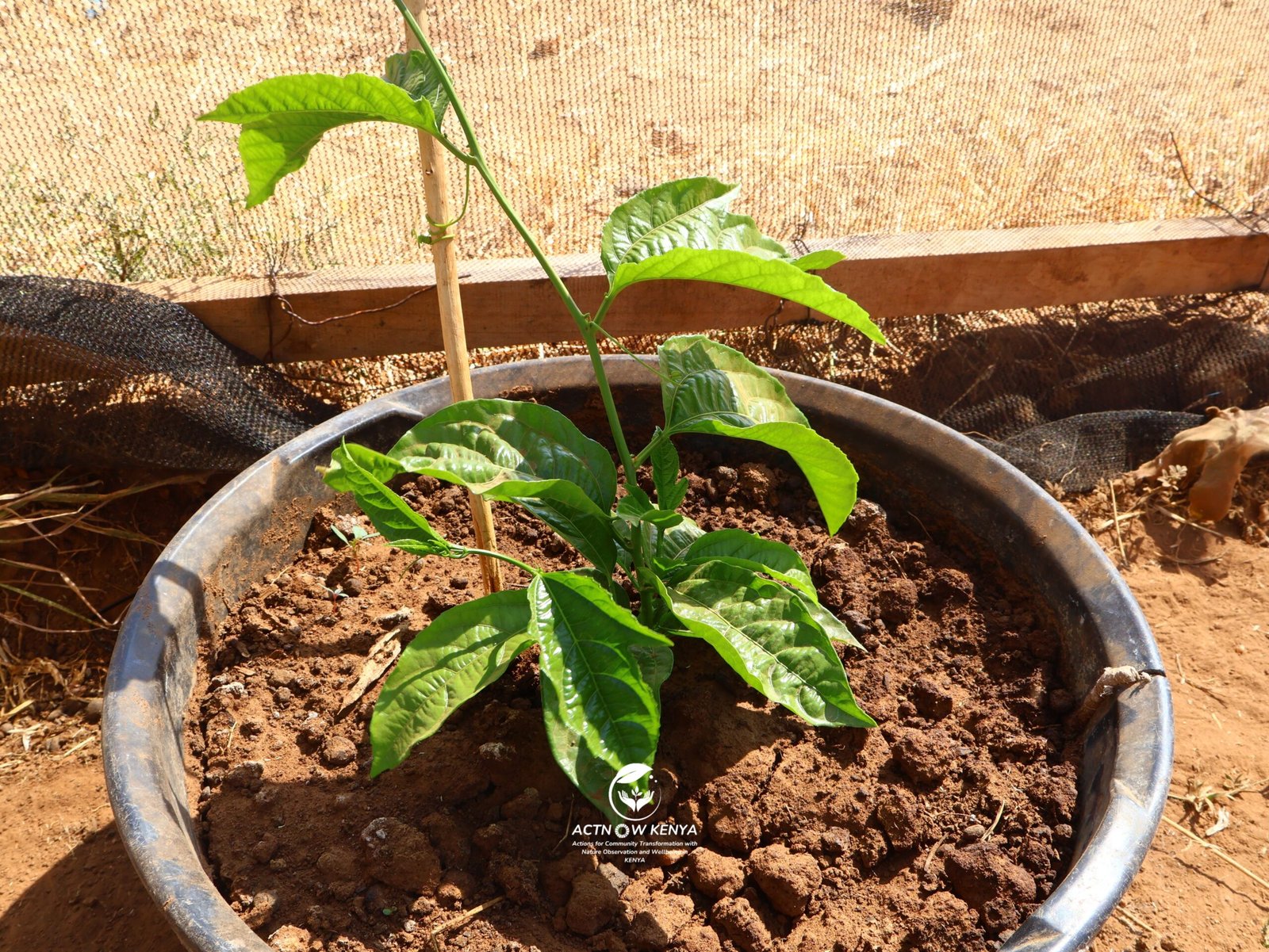 NKISHON AGROECOLOGY HUB_Nutrition Education