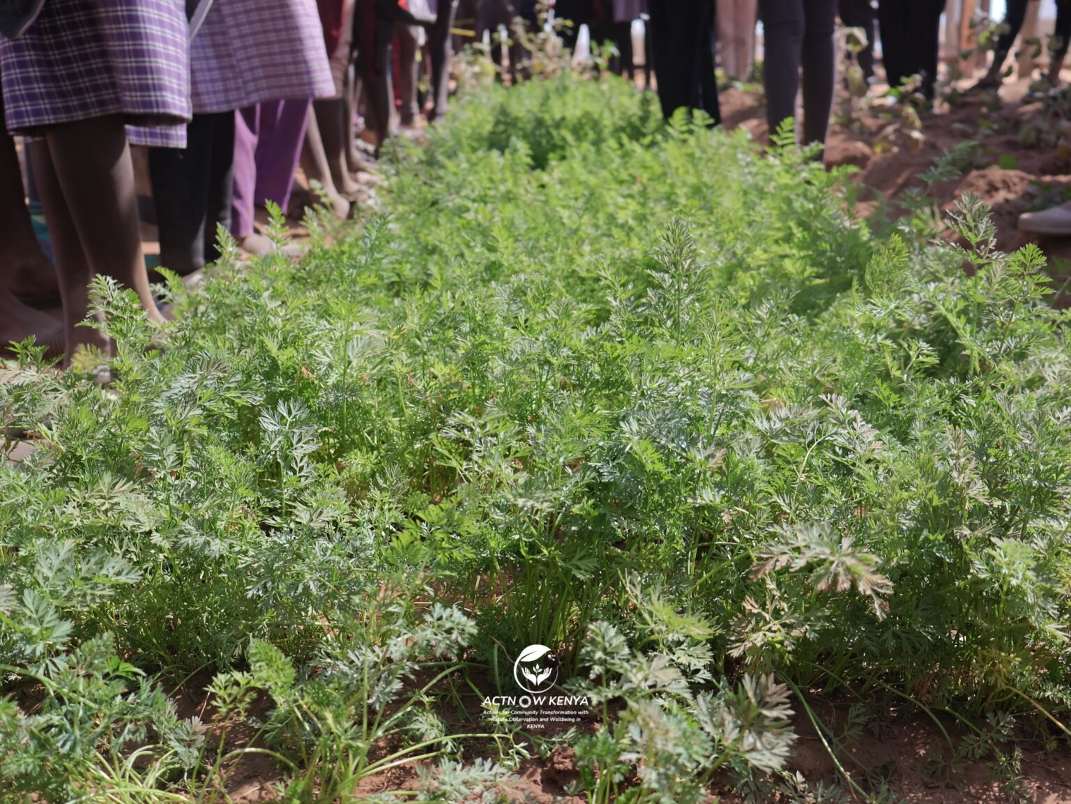 Nkishon Program_NKISHON AGROECOLOGY HUB
