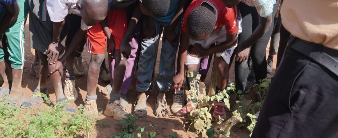 NKISHON AGROECOLOGY HUB_Nutrition Education