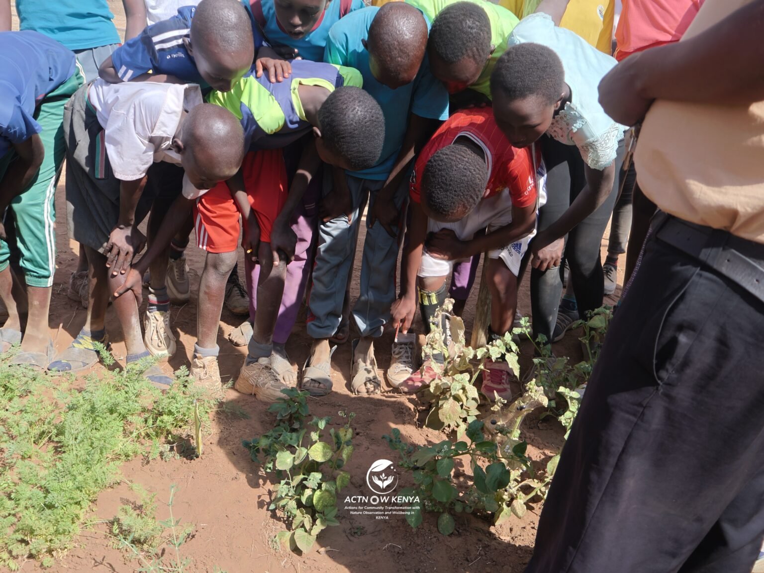 Nkishon Program_Nutrition Education