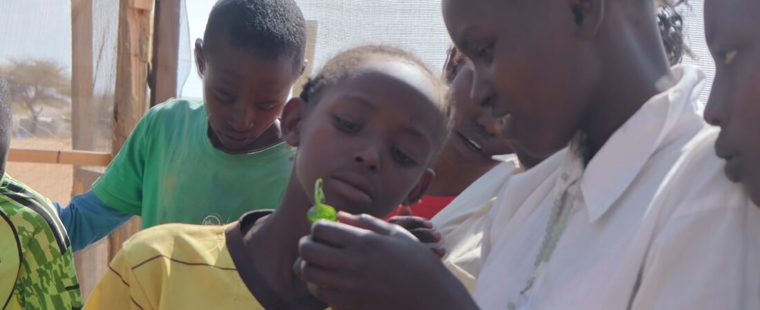 NKISHON AGROECOLOGY HUB_Nutrition Education