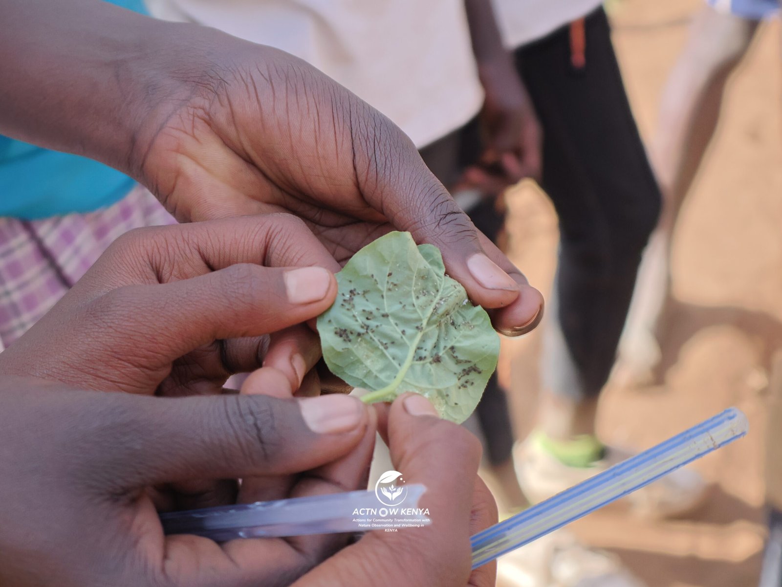 NKISHON AGROECOLOGY HUB_Nutrition Education