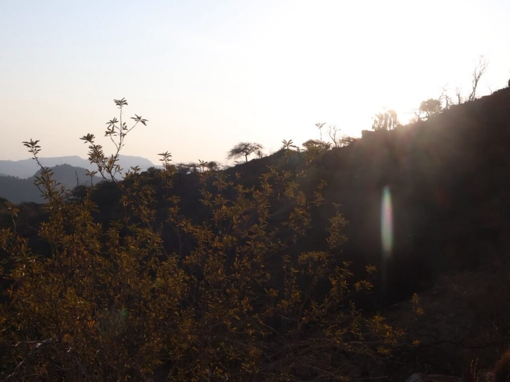Mukogodo Restoration Hike 2026_Hike for Protection of Keresire seasonal River