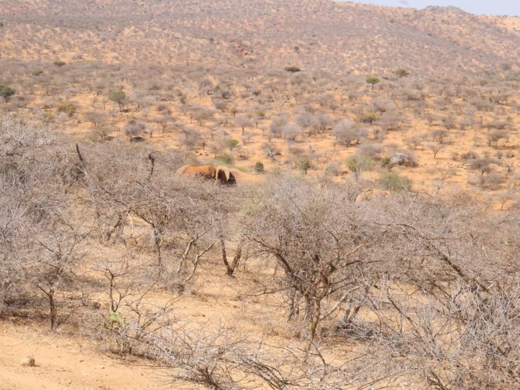 Mukogodo Restoration Hike 2026_Hike for Protection of Keresire seasonal River