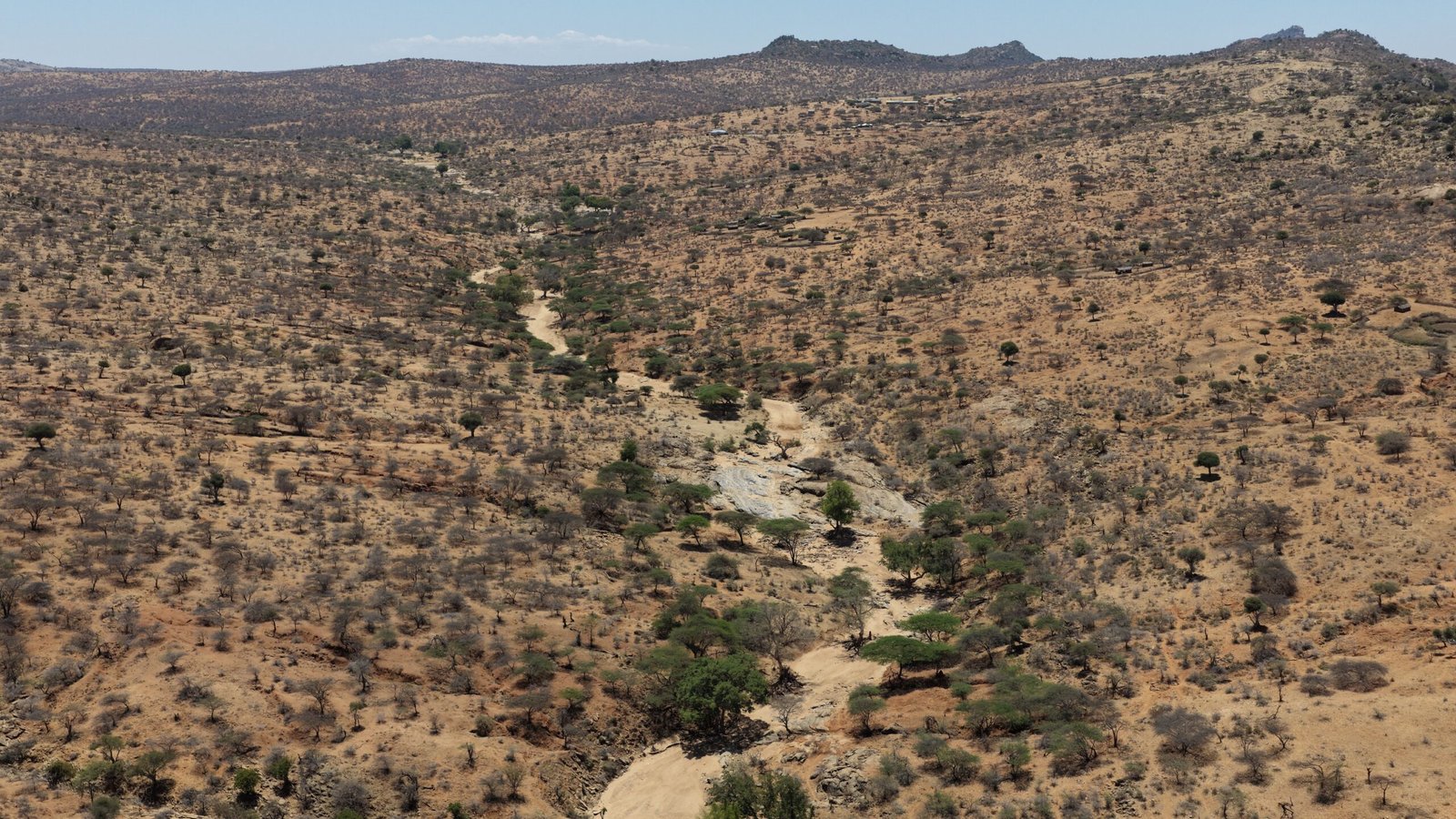 The Mukogodo Ecosystem
