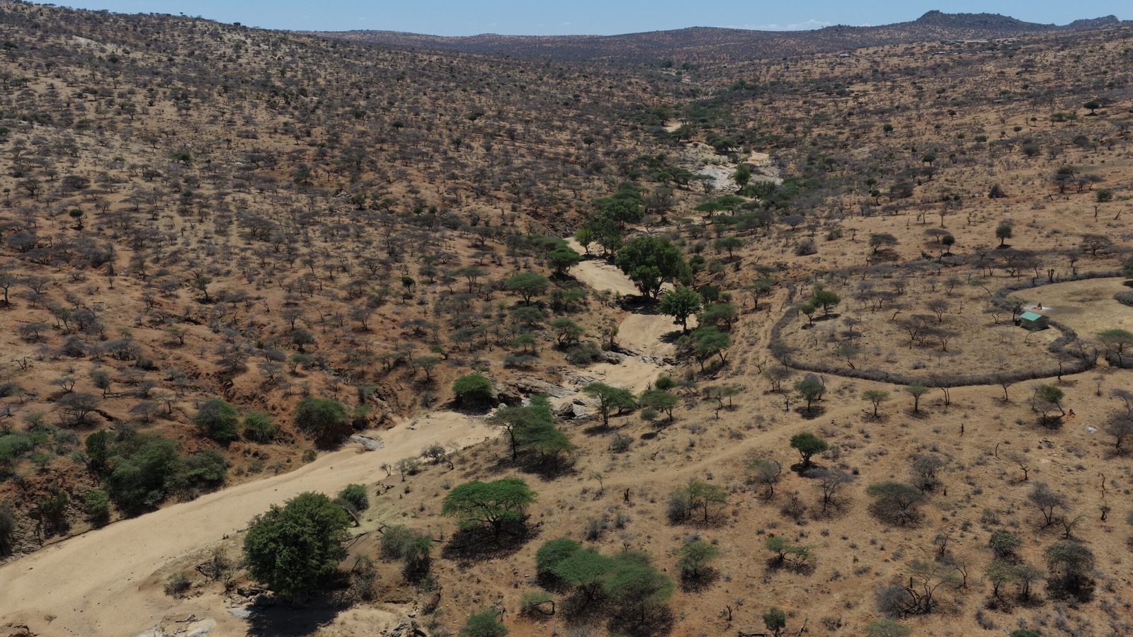 The Mukogodo Ecosystem_Rangeland