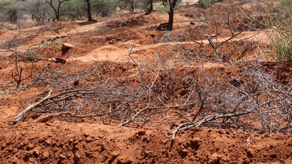 Rangeland Restoration