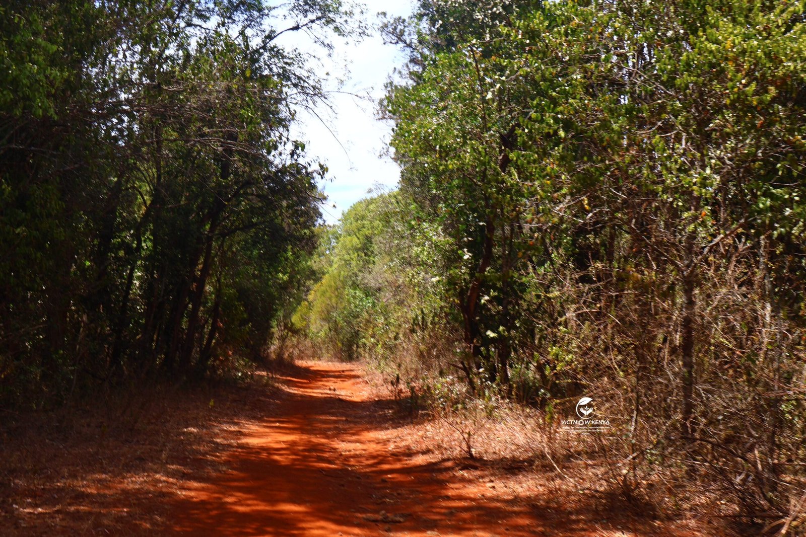 The Mukogodo Forest Wild Walk 2026_Conservation Awareness Walk 2